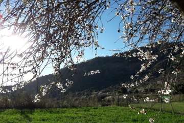 Foto Gumersindo Hernández para TA