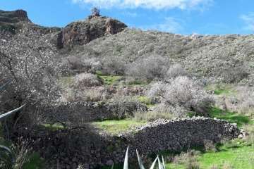 Foto Gumersindo Hernández para TA