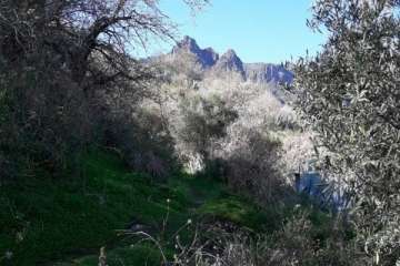 Foto Gumersindo Hernández para TA