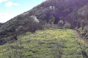 Foto Gumersindo Hernández para TA
