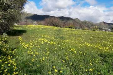 Foto Gumersindo Hernández para TA