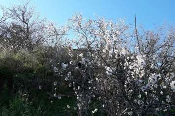 Foto Gumersindo Hernández para TA