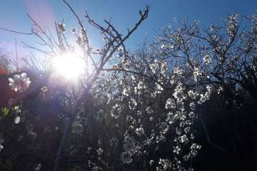 Foto Gumersindo Hernández para TA