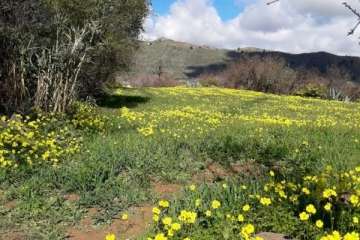 Foto Gumersindo Hernández para TA