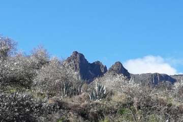 Foto Gumersindo Hernández para TA