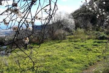 Foto Gumersindo Hernández para TA