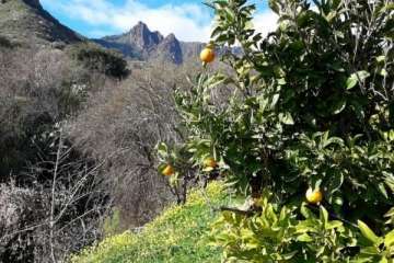 Foto Gumersindo Hernández para TA