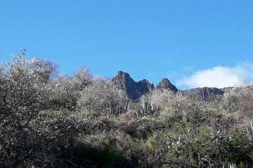 Foto Gumersindo Hernández para TA