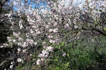 Foto Gumersindo Hernández para TA