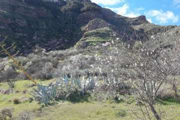 Foto Gumersindo Hernández para TA