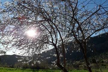 Foto Gumersindo Hernández para TA