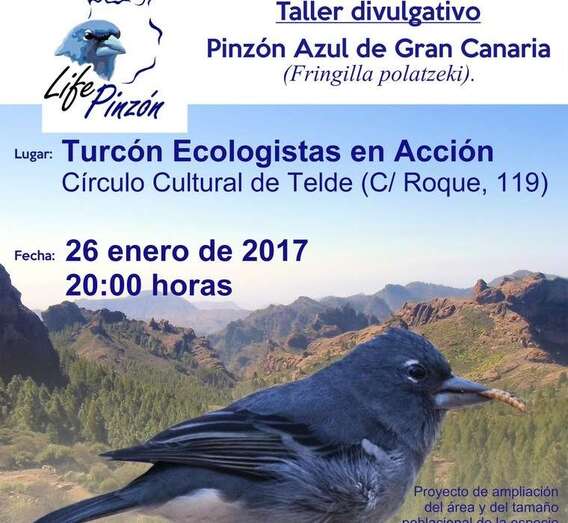 Cartel de la actividad (Foto TA)