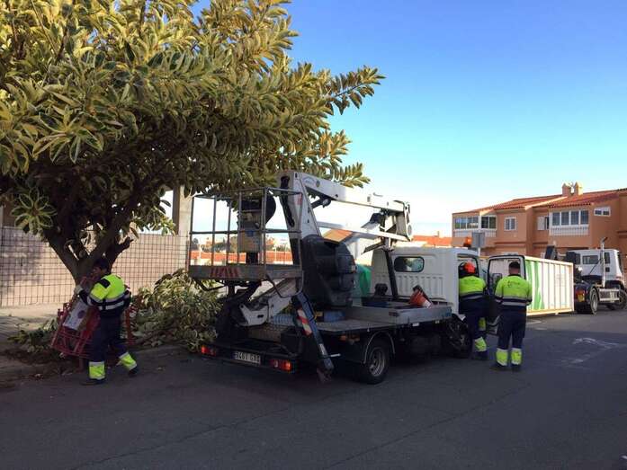 Labores de poda en San Antonio y La Pardilla (Foto TA)
