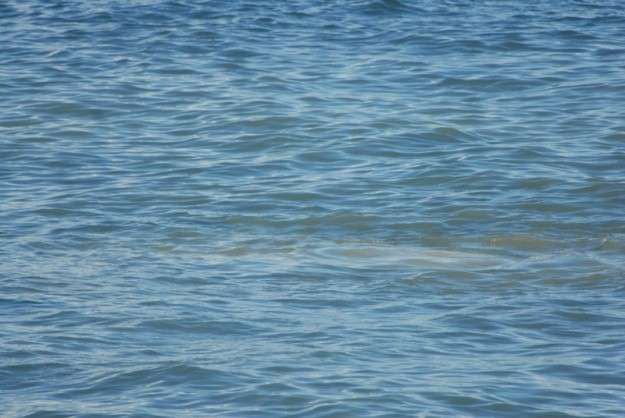 Imagen de archivo de uno de los numerosos vertidos de aguas fecales detectados junto a Bocabarranco (Foto TA)