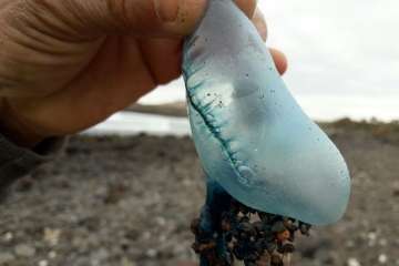 Reportaje gráfico TA