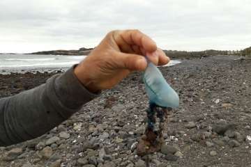 Reportaje gráfico TA