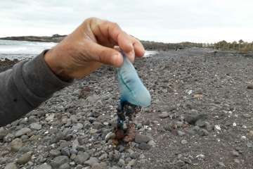 Reportaje gráfico TA