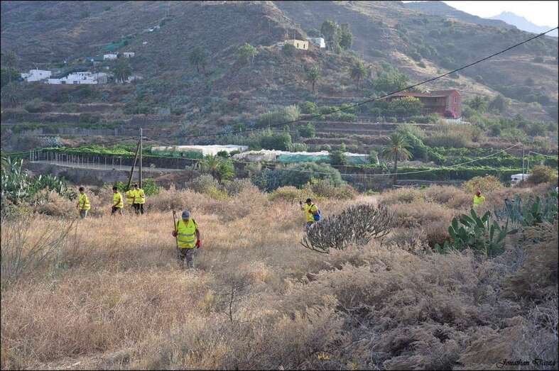 Imagen de archivo de otra batida de voluntarios en la zona de San Roque (Foto TA)