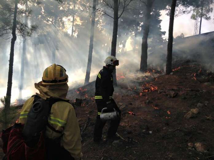  Las imprudencias y los descuidos son el principal origen de los fuegos forestales (Foto TA)