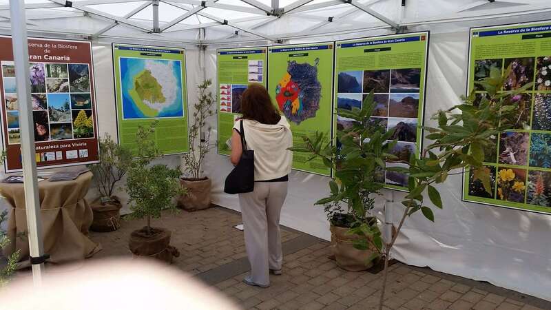 La muestra se exhibe en la Casa de la Juventud de Los Llanos (Foto Jesús Ruiz)