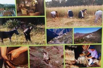 Foto Jesús Ruiz Mesa