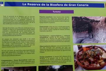 Foto Jesús Ruiz Mesa