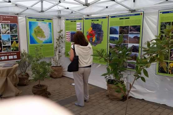 Foto Jesús Ruiz Mesa