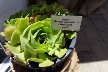 Foto Jesús Ruiz Mesa