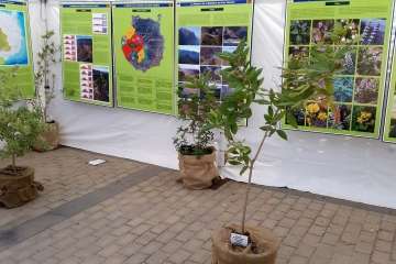 Foto Jesús Ruiz Mesa