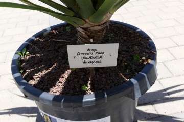 Foto Jesús Ruiz Mesa