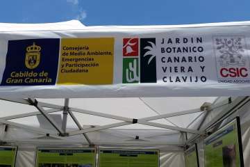 Foto Jesús Ruiz Mesa