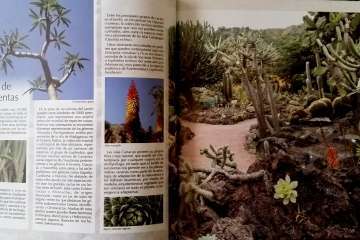 Foto Jesús Ruiz Mesa