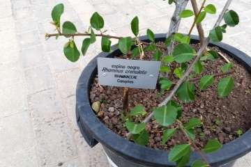 Foto Jesús Ruiz Mesa