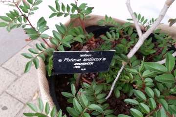 Foto Jesús Ruiz Mesa