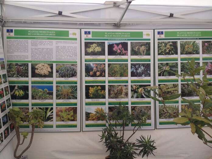 Exposición de plantas medicinales (Foto TA)