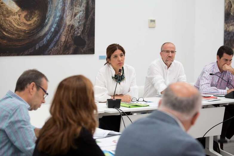 La alcaldesa de Telde, Carmen Hernández, en la reunión de este miércoles del Observatorio del Paisaje