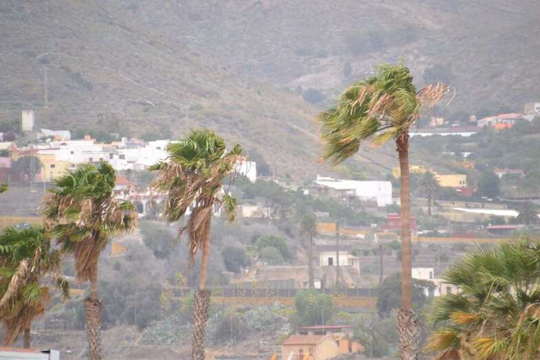 El viento ha alcanzado rachas de casi 70 kilómetros por hora en Telde (Foto TA)