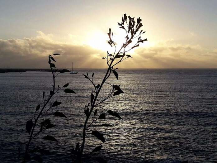 Salida del sol en la costa de Telde (Foto Sindo Hernández)