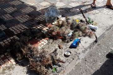 Limpieza de los fondos marinos de La Garita (Foto TA)