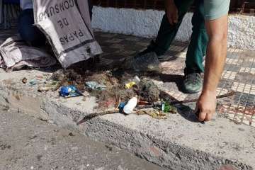 Limpieza de los fondos marinos de La Garita (Foto TA)