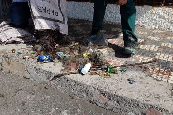 Limpieza de los fondos marinos de La Garita (Foto TA)