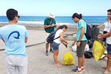 Limpieza de la playa de La Restinga (Foto TA)