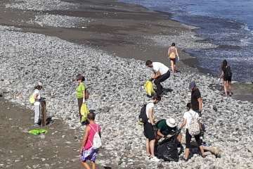 Limpieza de la playa de La Restinga (Foto TA)