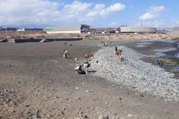 Limpieza de la playa de La Restinga (Foto TA)