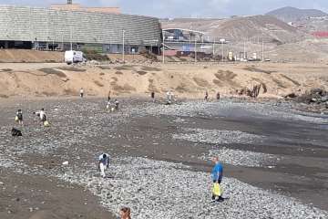 Limpieza de la playa de La Restinga (Foto TA)