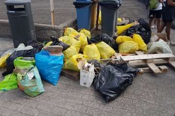 Limpieza de la playa de La Restinga (Foto TA)