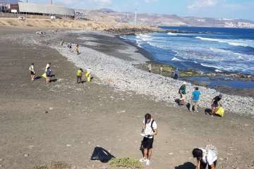 Limpieza de la playa de La Restinga (Foto TA)