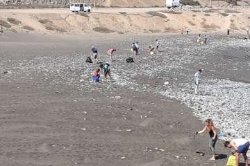 Limpieza de la playa de La Restinga (Foto TA)