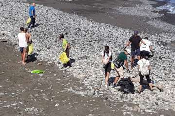 Limpieza de la playa de La Restinga (Foto TA)