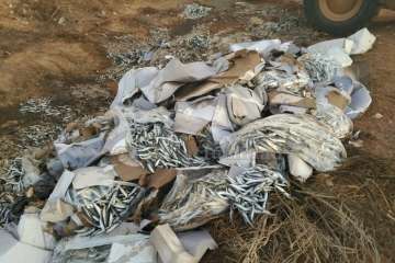 Retirados los 10.000 kilos de sardinas tirados en cajas en Tufia y Barranco Real (Foto TA)